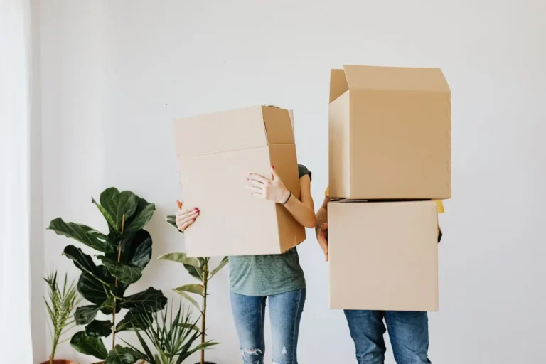 dos personas, tapadas con cajas de cartón, sobre un fondo blanco, con una planta al lado