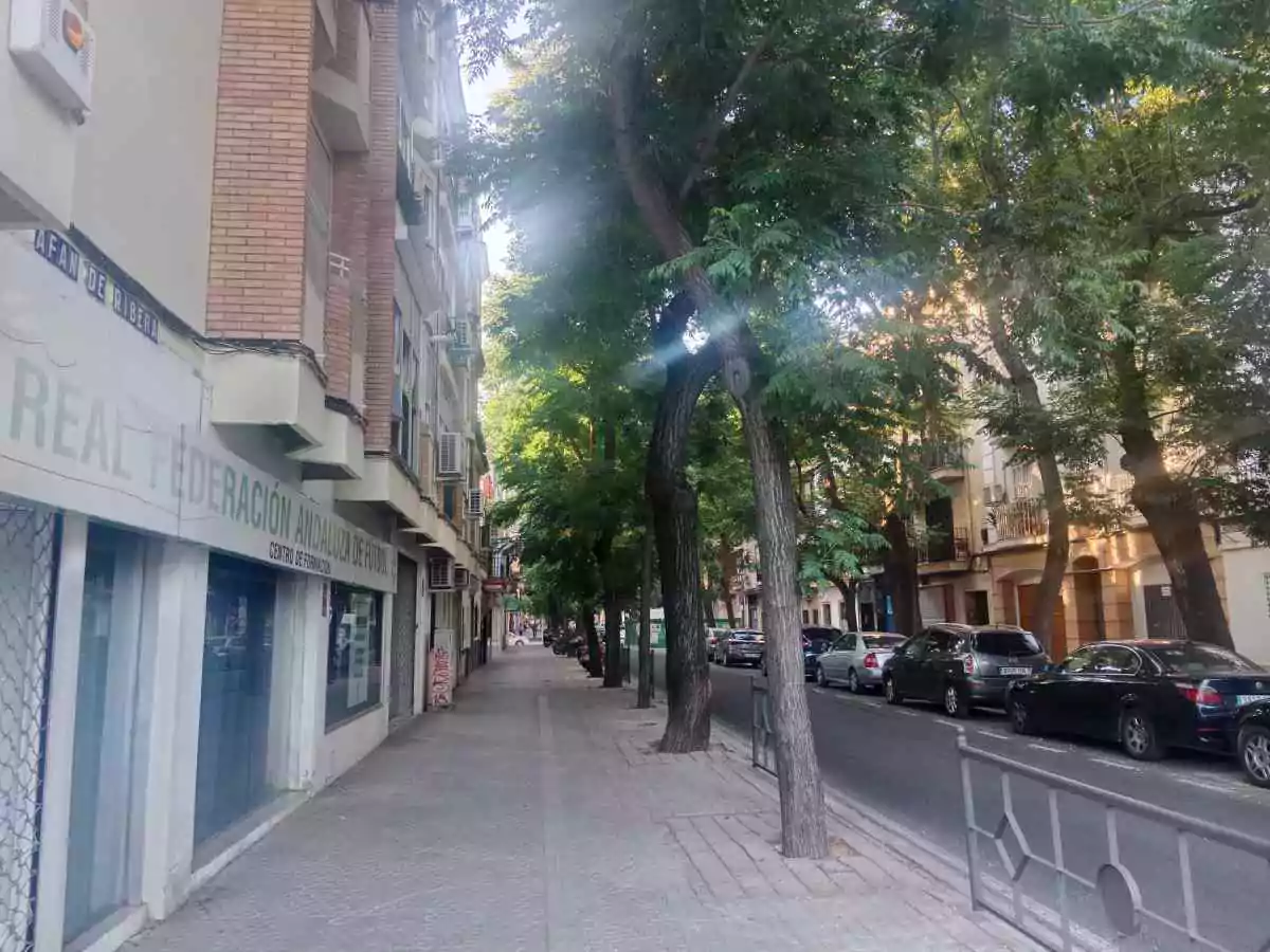 Calle con bloques de apartamentos y abundantes árboles