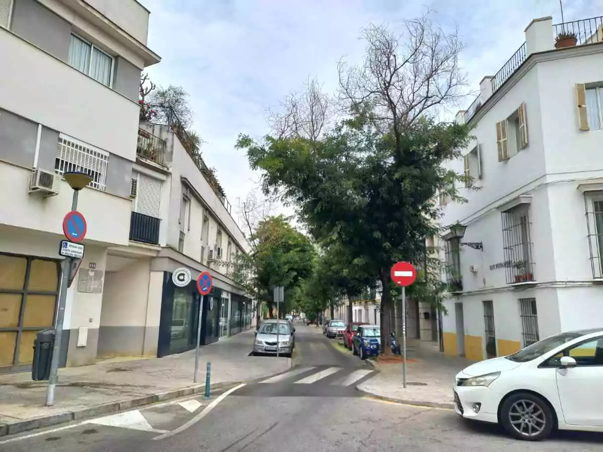 Calle con edificios blancos, y árboles en el lado derecho de la carretera.