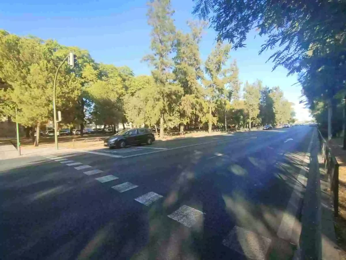 Avenida de la Paz en Sevilla, con árboles, coches y cielo despejado