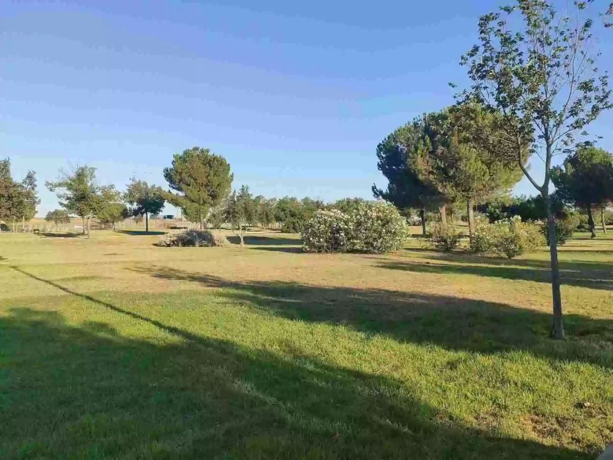 Parque de Guadaira en la Avenida de la Paz en Sevilla, con césped y árboles bajo un cielo despejado.