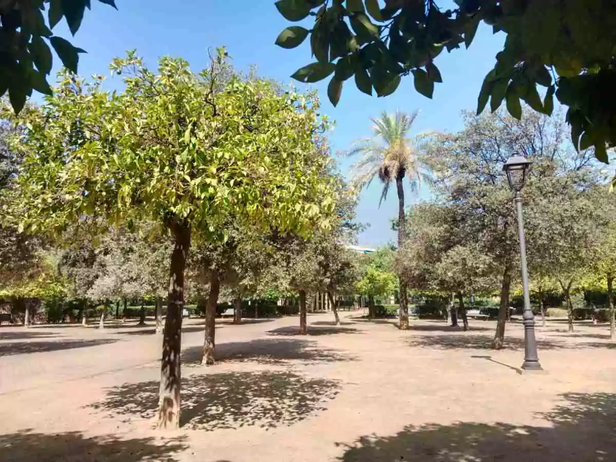 Zona con arboles del Parque Federico García Lorca.