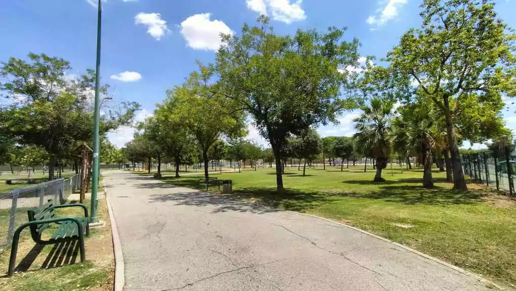 Camino en el parque de Santa Clara, Sevilla