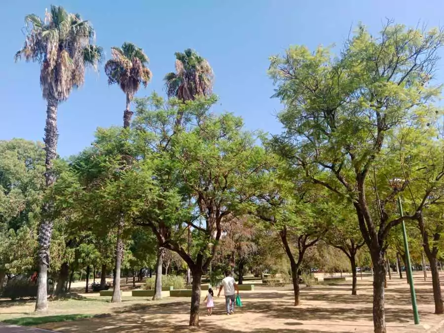 Fotografía exterior del Parque José Celestino Mutis, la oliva, sevilla