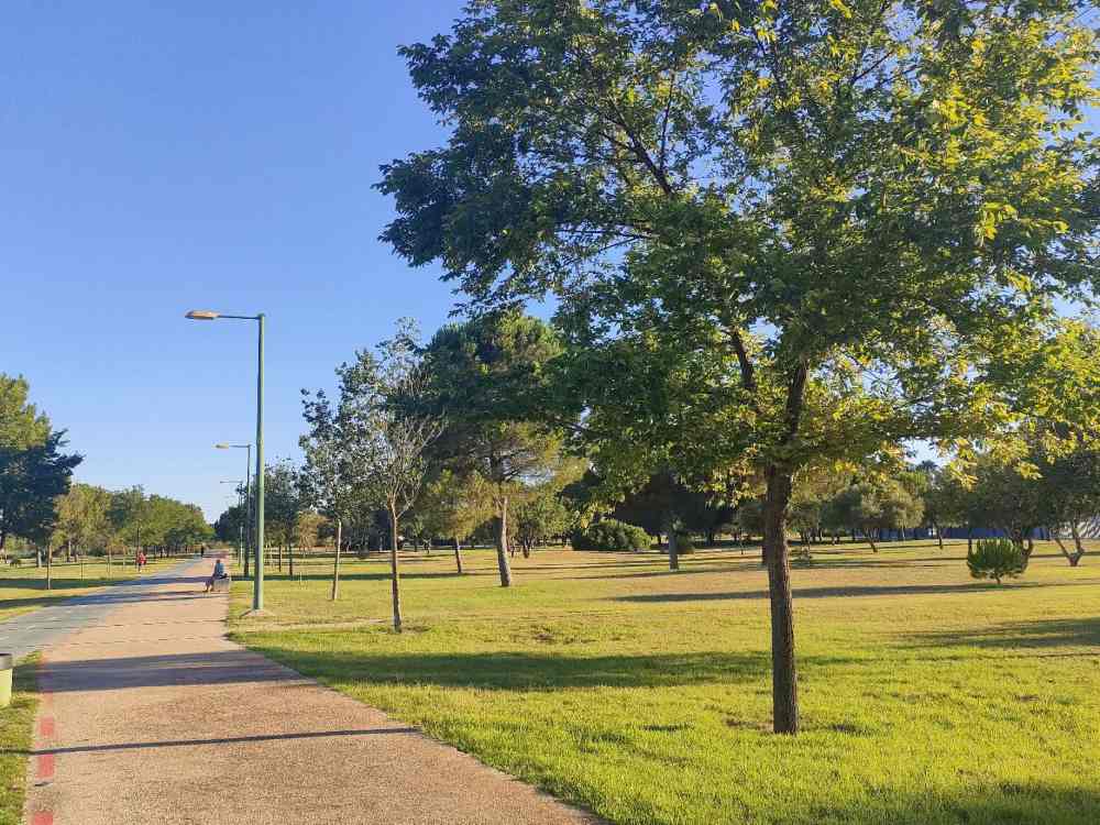 Árboles del Parque de Guadaira