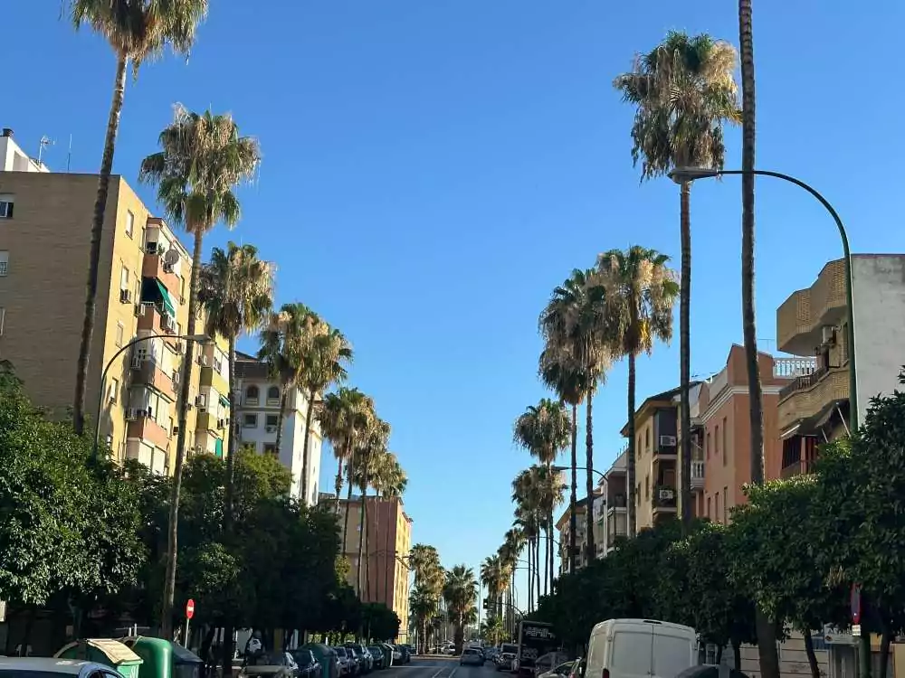 Bloques de pisos de la Carretera Su Eminencia