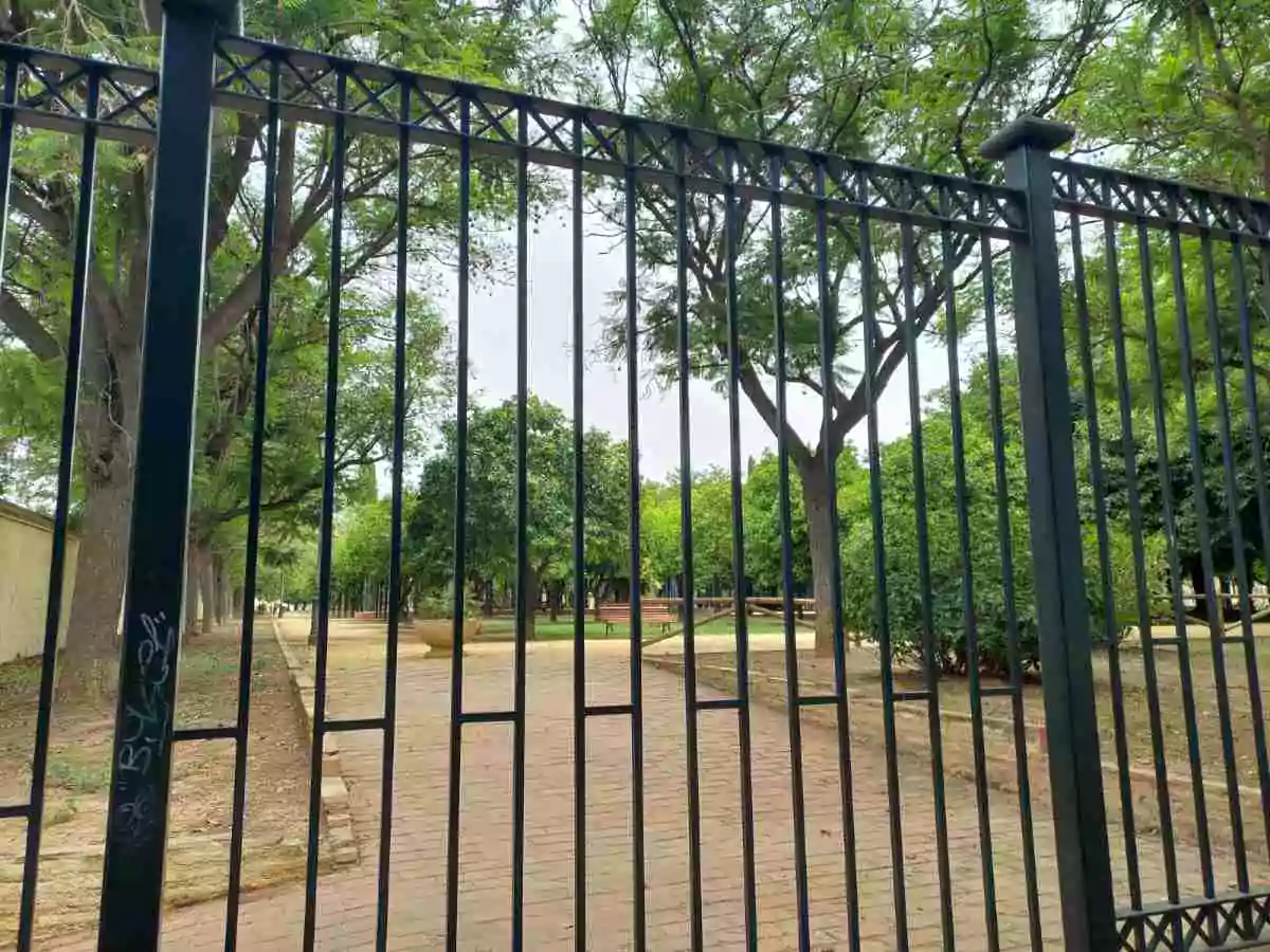 Parque con árboles verdes a los lados de un camino de piedra y una reja que lo separa de la calle.