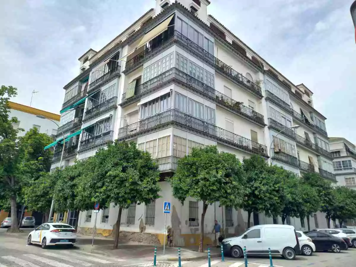 Edificio de viviendas en San Bernardo de cinco plantas. Hay naranjos verdes en fila en la acera.